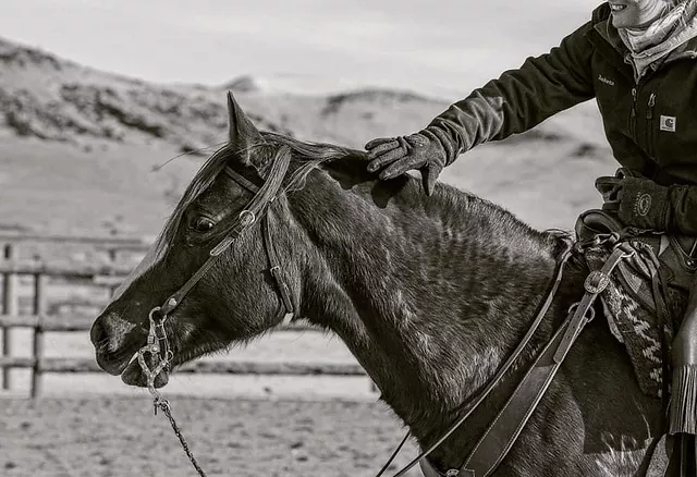 Horseman